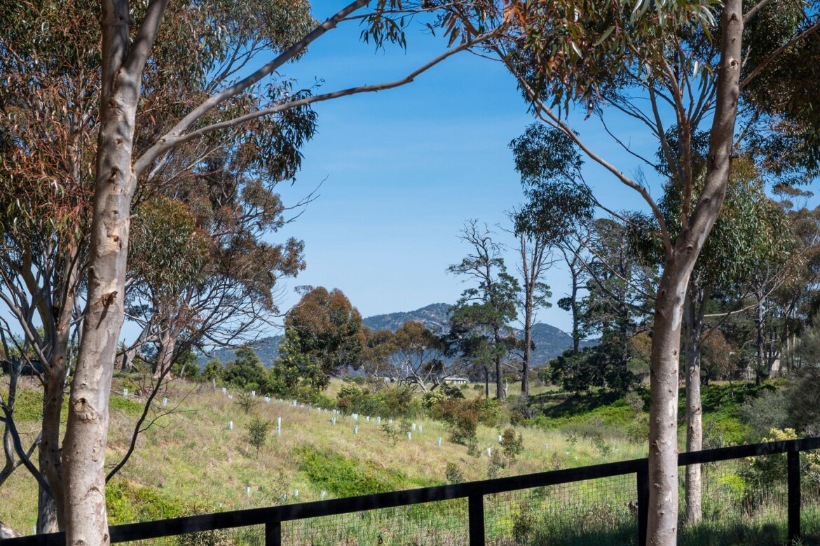 Property b3980108 c25e 4831 8d19 d9a6e466efda - Property