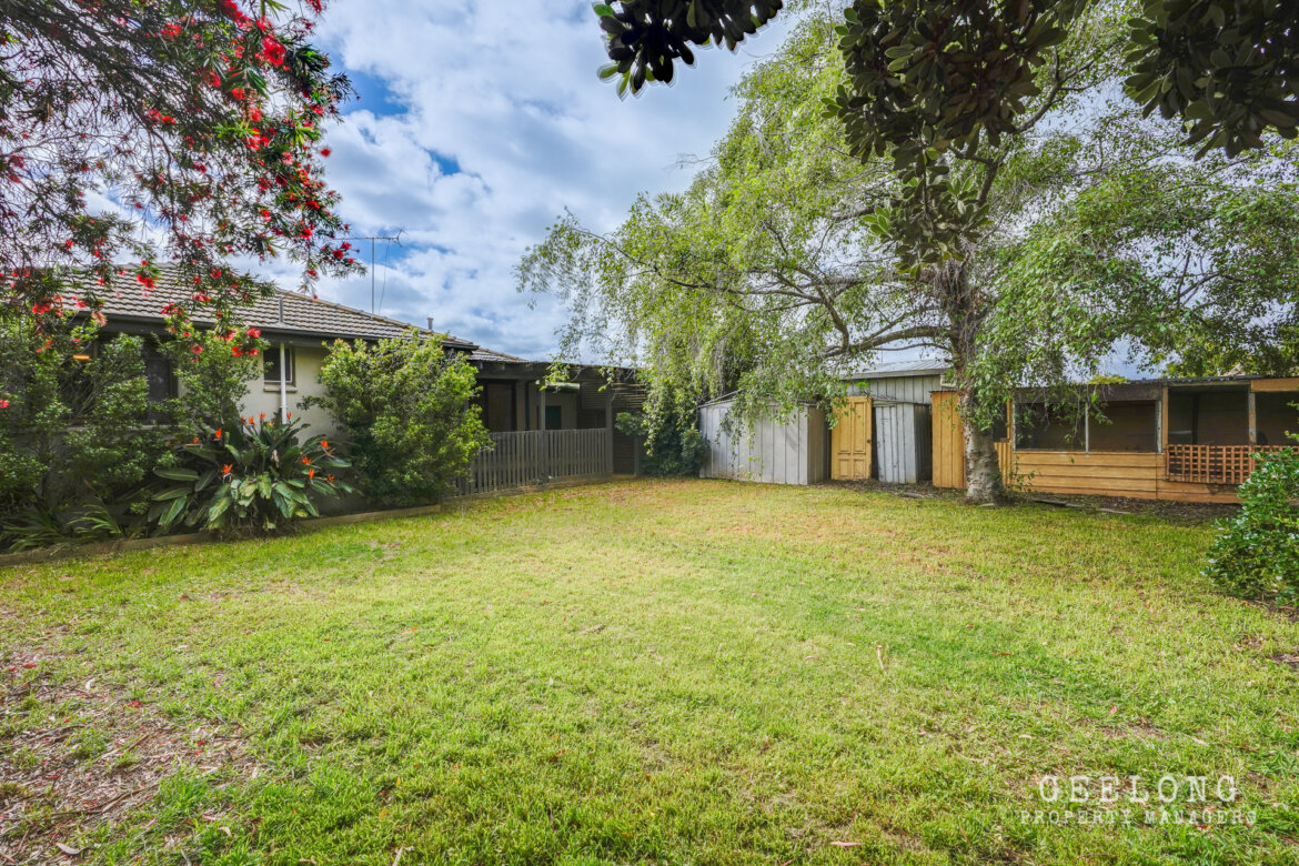 b3a300ed d73c 4411 9b16 73264edf7cea - Property