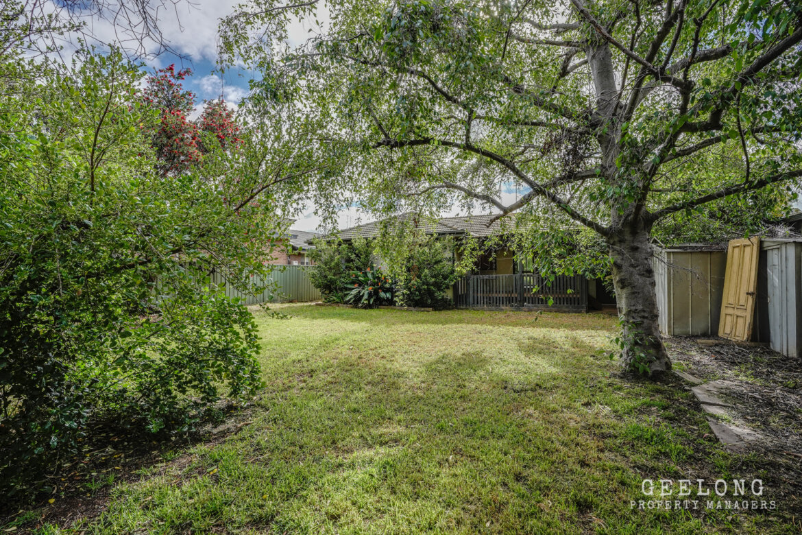 b3a300ed dcb6 41fb 855b a2efd4e45f96 - Property