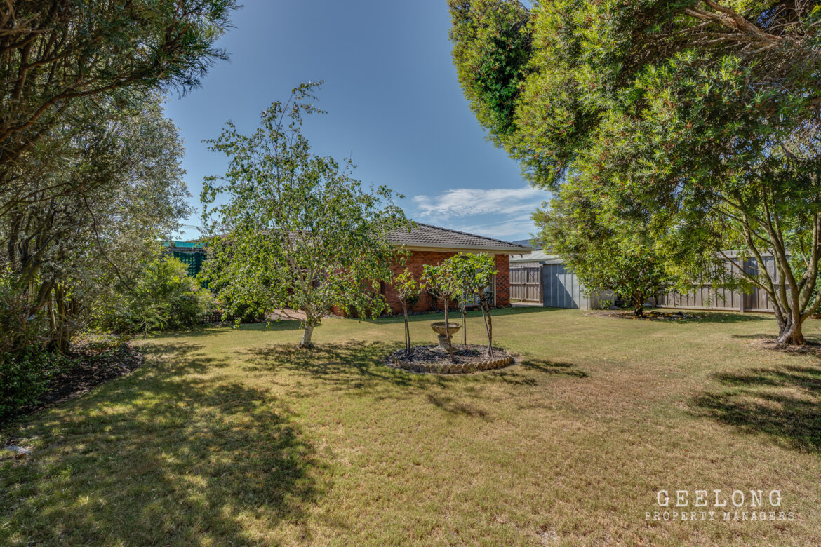 b4350167 006a 4b84 8b38 70745f76e679 - Property