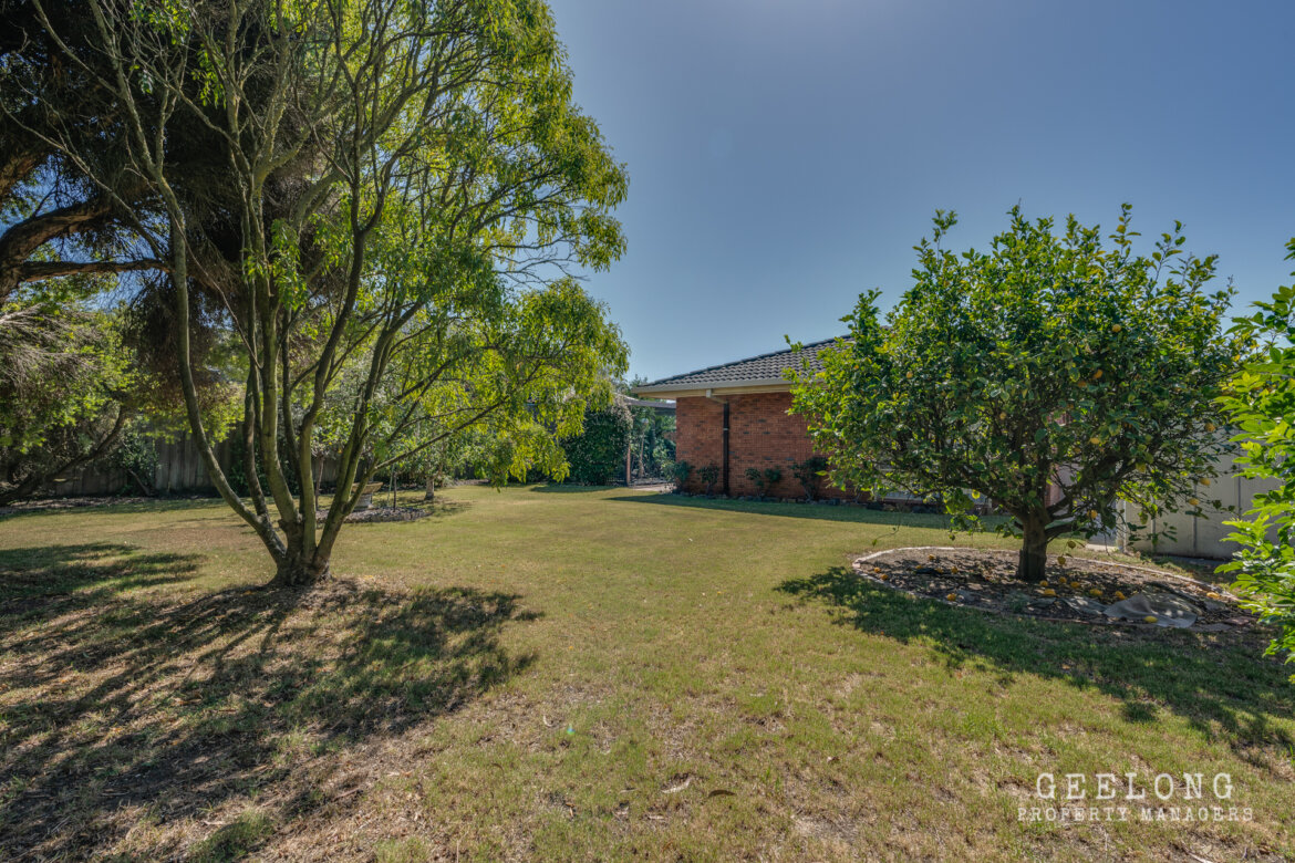 b4350167 1744 404d a12a 00e799bd1d1c - Property