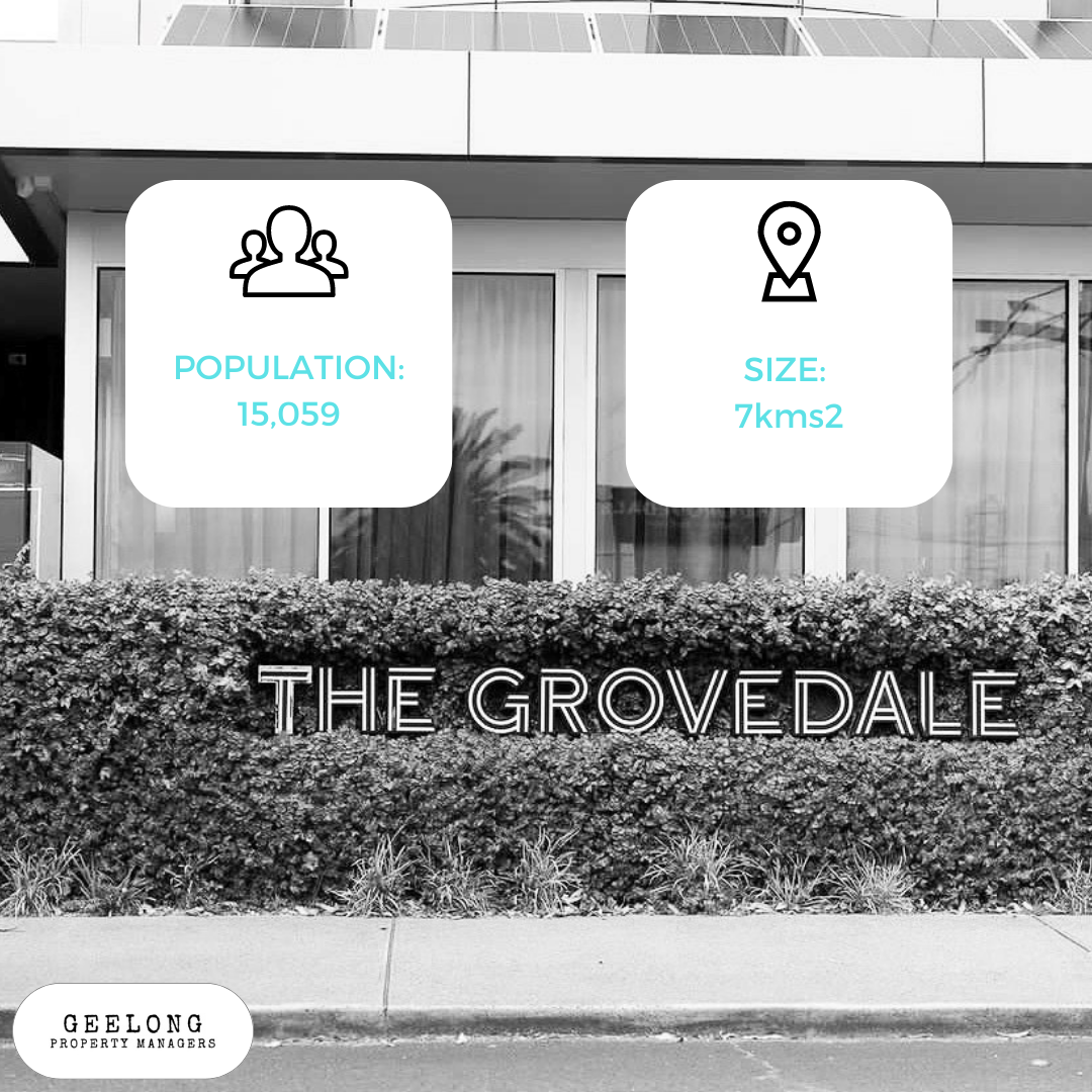 Grovedale real estate